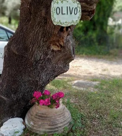 Olivo Appartement