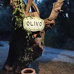 Olivo Apartamento *