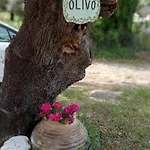 Olivo דירה