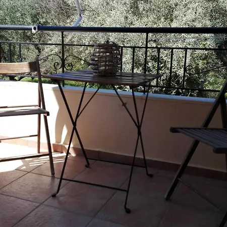 Olivo נידרי