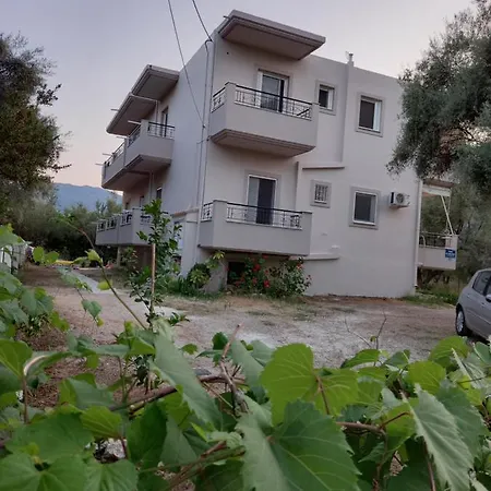 Olivo נידרי