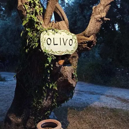 Olivo 아파트 *
