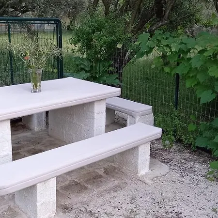 Olivo