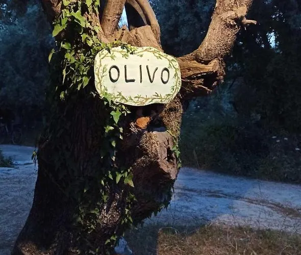Olivo Apartment *